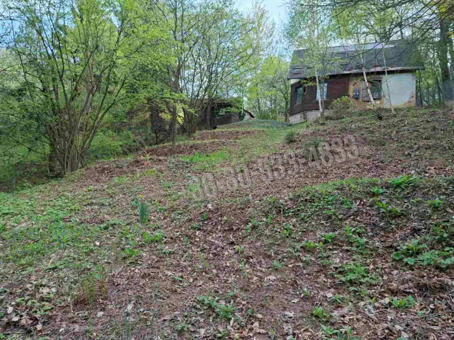 eladó  Gyümölcsös, Kőszeg